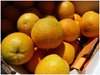 128 тонн апельсин, зараженных плодовой мухой, запрещено к ввозу